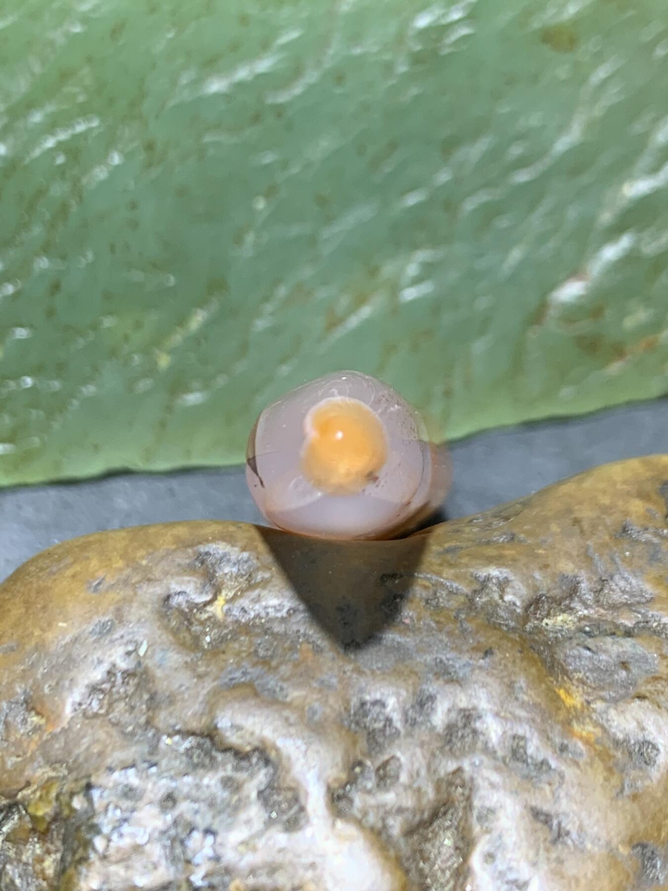 南红玛瑙荔枝冻飘火焰纹随形牙通货吊坠一个，