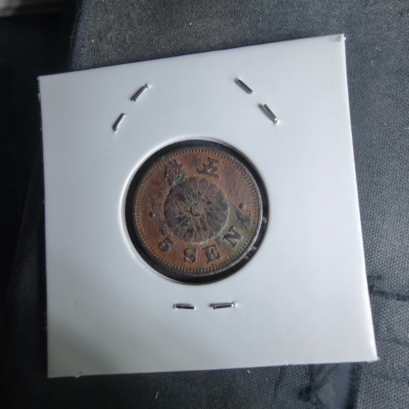 沼泽如烟--第1036场