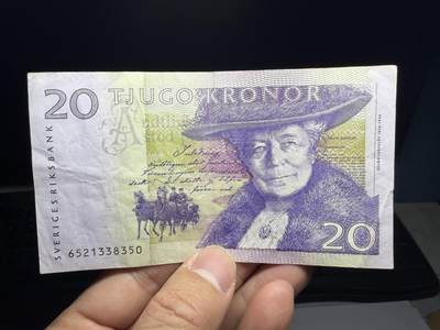 2026年集古藏今外币拍卖第三期-第10场—（总第320拍-纸币专场），本期拍完结算一次，发货时间2-3天，休息几天后继续新的一期拍卖。 - 瑞典20克朗01，小型