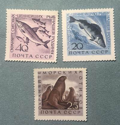 盛世勋华——号角文化勋章邮票专场拍卖第311期 - 苏联邮政1960年发行 3全新票 鱼类和海洋生物