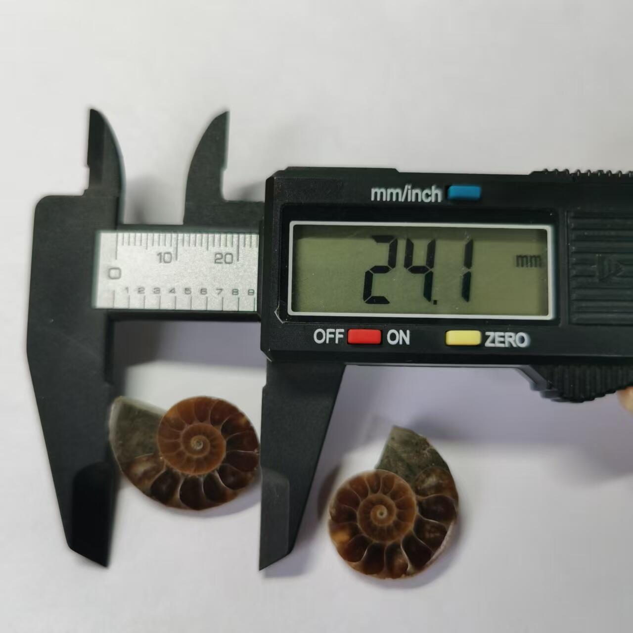 七河·水晶矿标化石杂件小拍（总第43期）（周四结标） 藏家出品X787（5）马达加斯加中生代菊石化石对开品