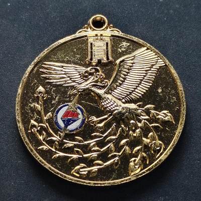 【全场包邮】纯粹捡漏拍516场【专场】 - 【纪念章】日本2024-2025年府中市第65次体育大会金奖纪念章