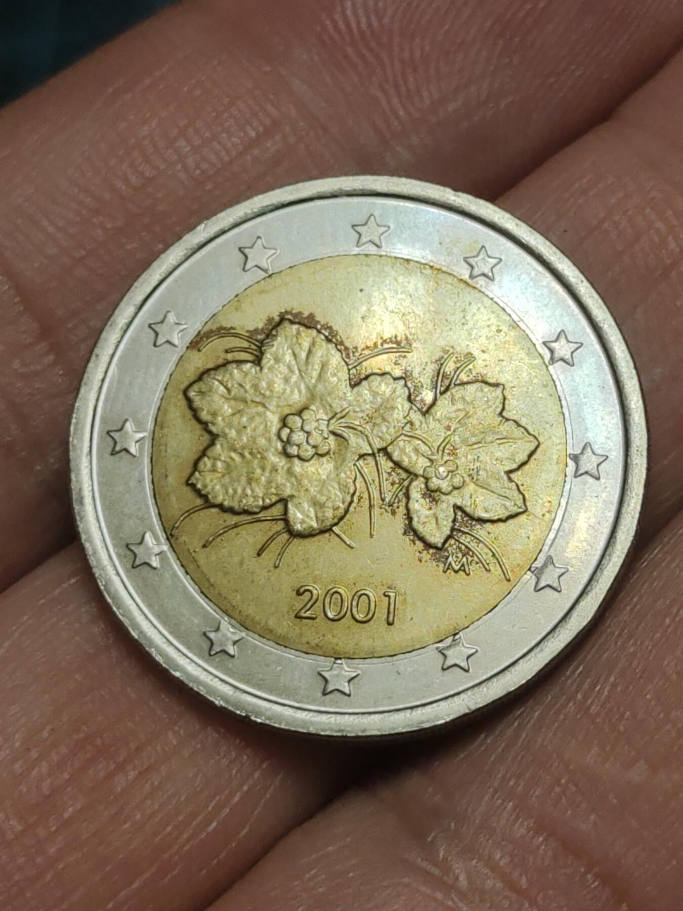 2026年第三十八场(总第二百零七场）外国好品散币场(免佣金) 芬兰🇫🇮2001年2欧元(第一版欧洲地图)