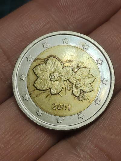 2026年第三十八场(总第二百零七场）外国好品散币场(免佣金) - 芬兰🇫🇮2001年2欧元(第一版欧洲地图)