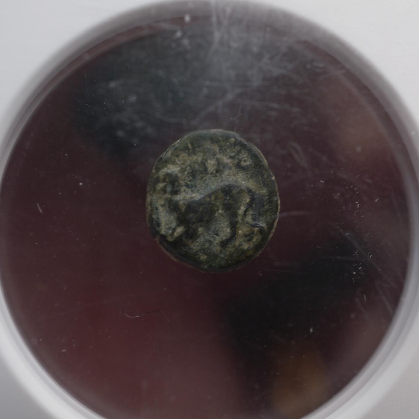 琋语集藏2026年04月欧洲古典打制币拍卖 埃奥利斯群岛-纳索斯 阿波罗与黑豹铜币（NGC评级）