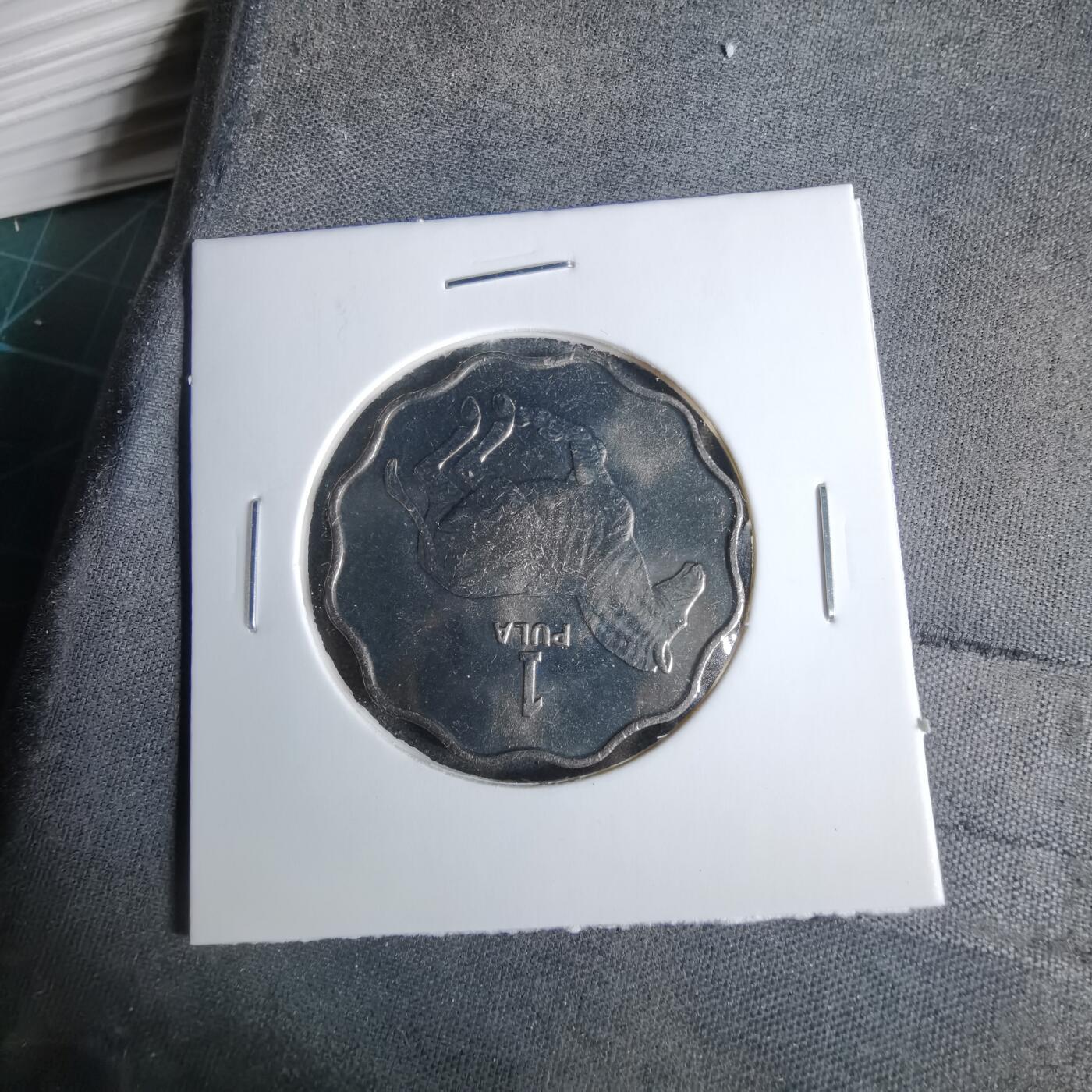 沼泽如烟--第1038场