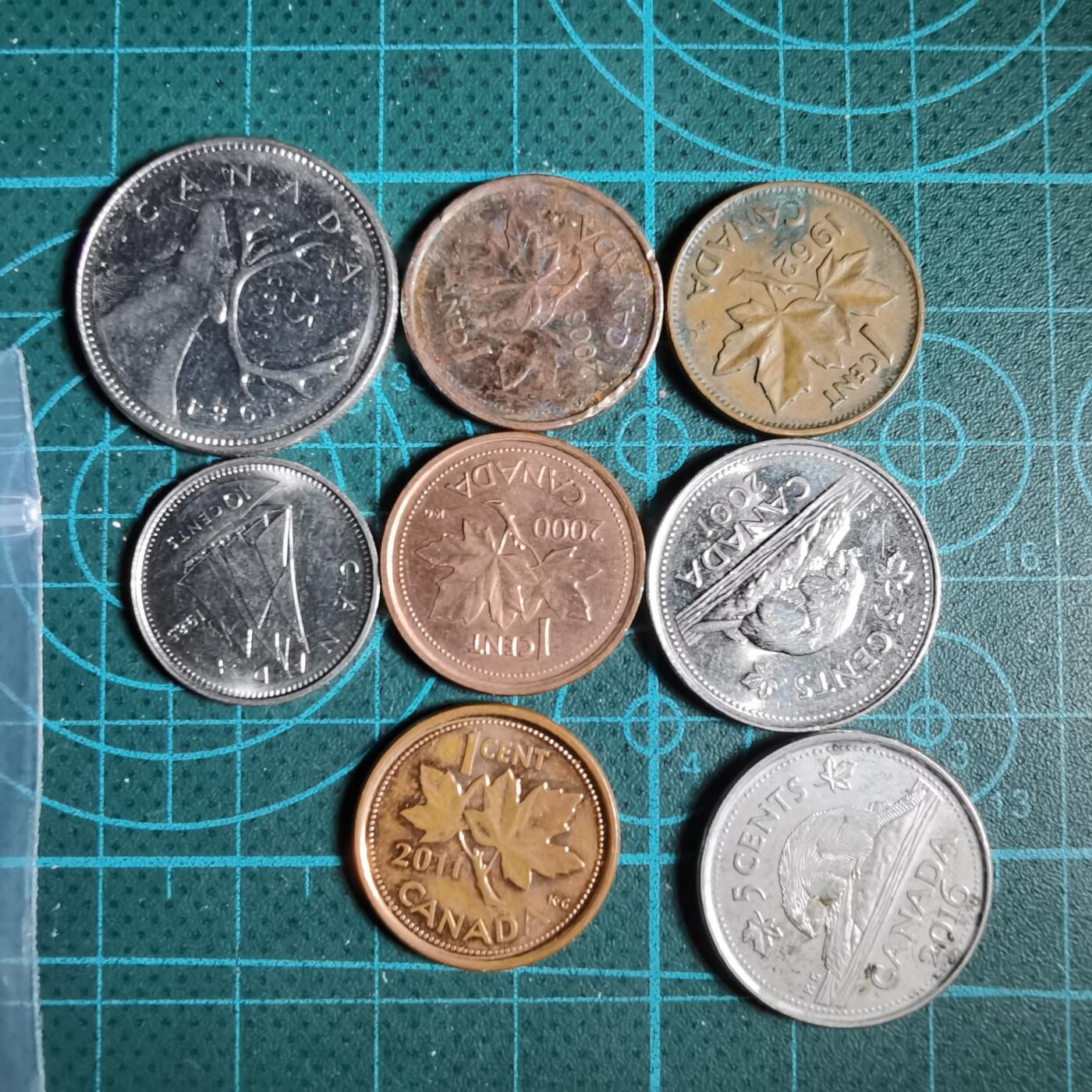 沼泽如烟--第1038场 散币八枚