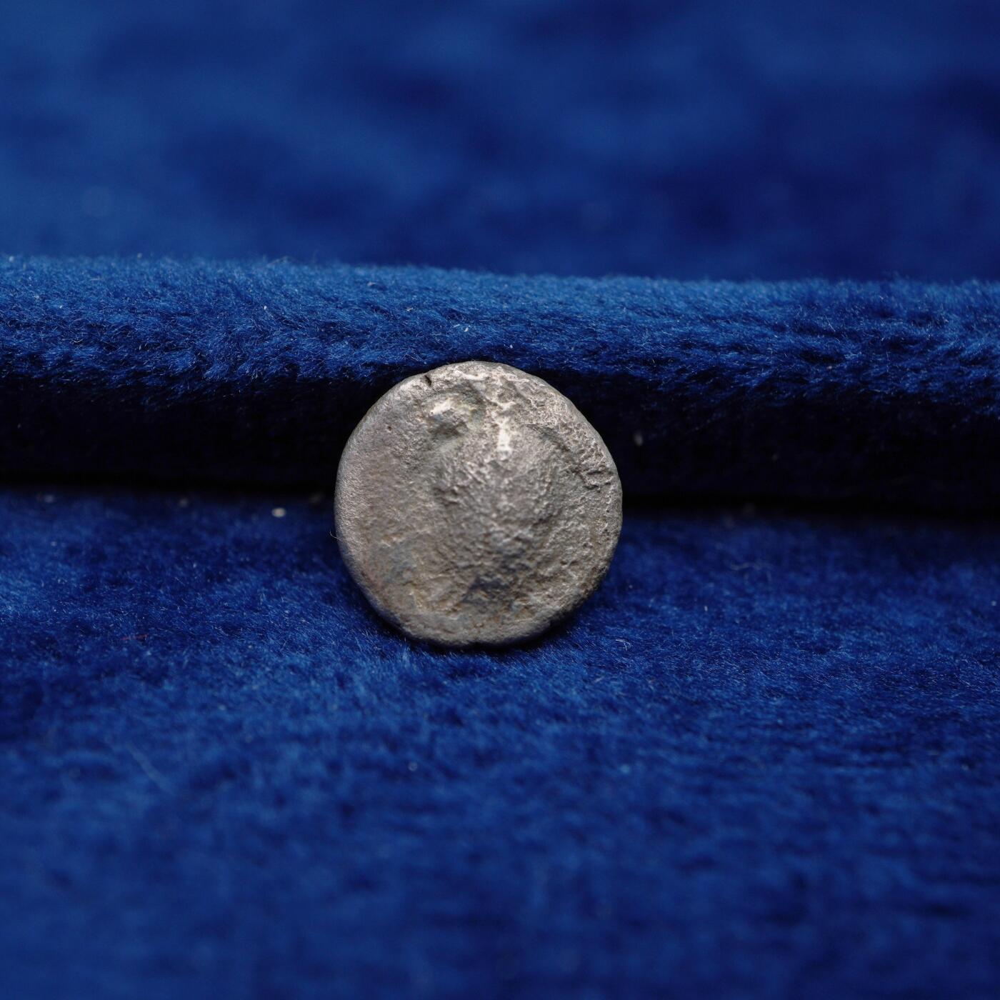 琋语集藏2026年04月欧洲古典打制币拍卖 古希腊阿提卡地区-海龟与海豚1奥波银币