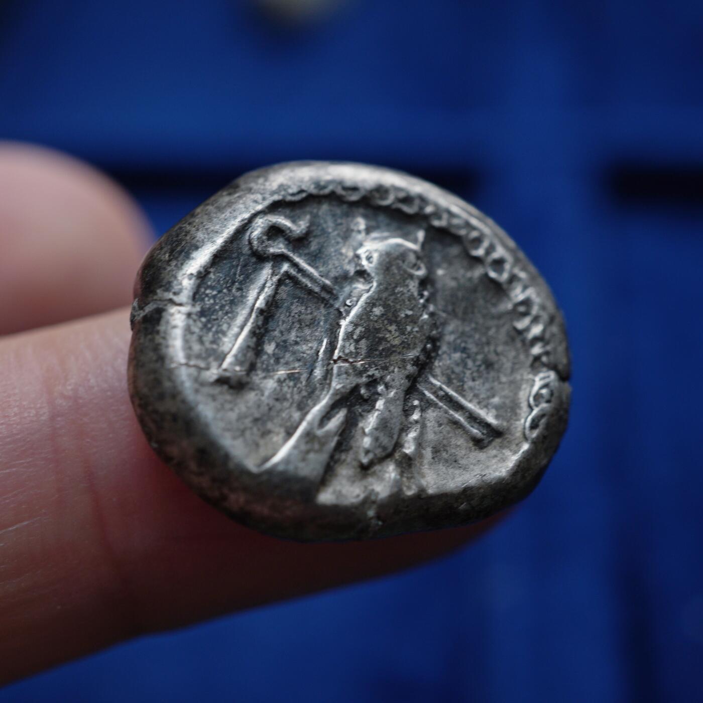 琋语集藏2026年04月欧洲古典打制币拍卖 古希腊腓尼基地区-推罗城猫头鹰与海马2德拉克马银币（重版）