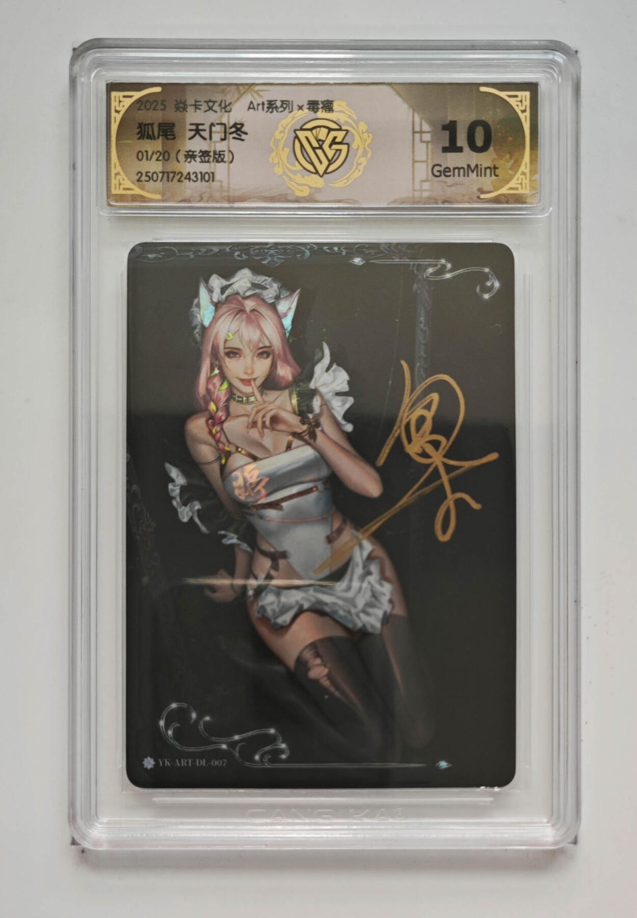 大麦马年第一场