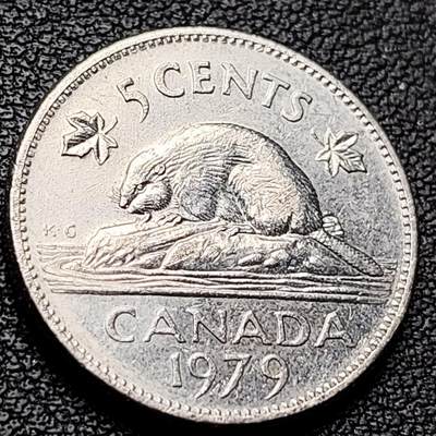泉币菌-第217场-拍品多 请提前出价 - 1979年 加拿大5分 海狸动物 21mm 