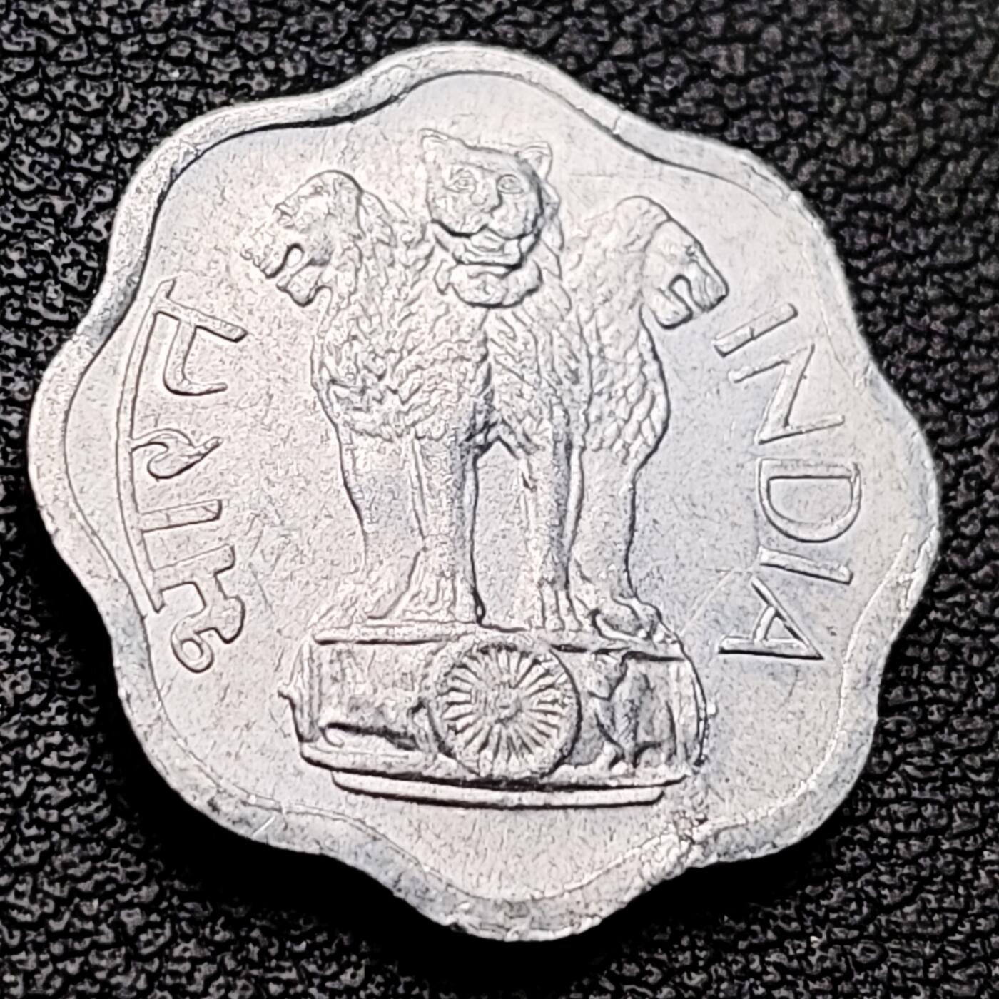 泉币菌-第217场-拍品多 请提前出价 。