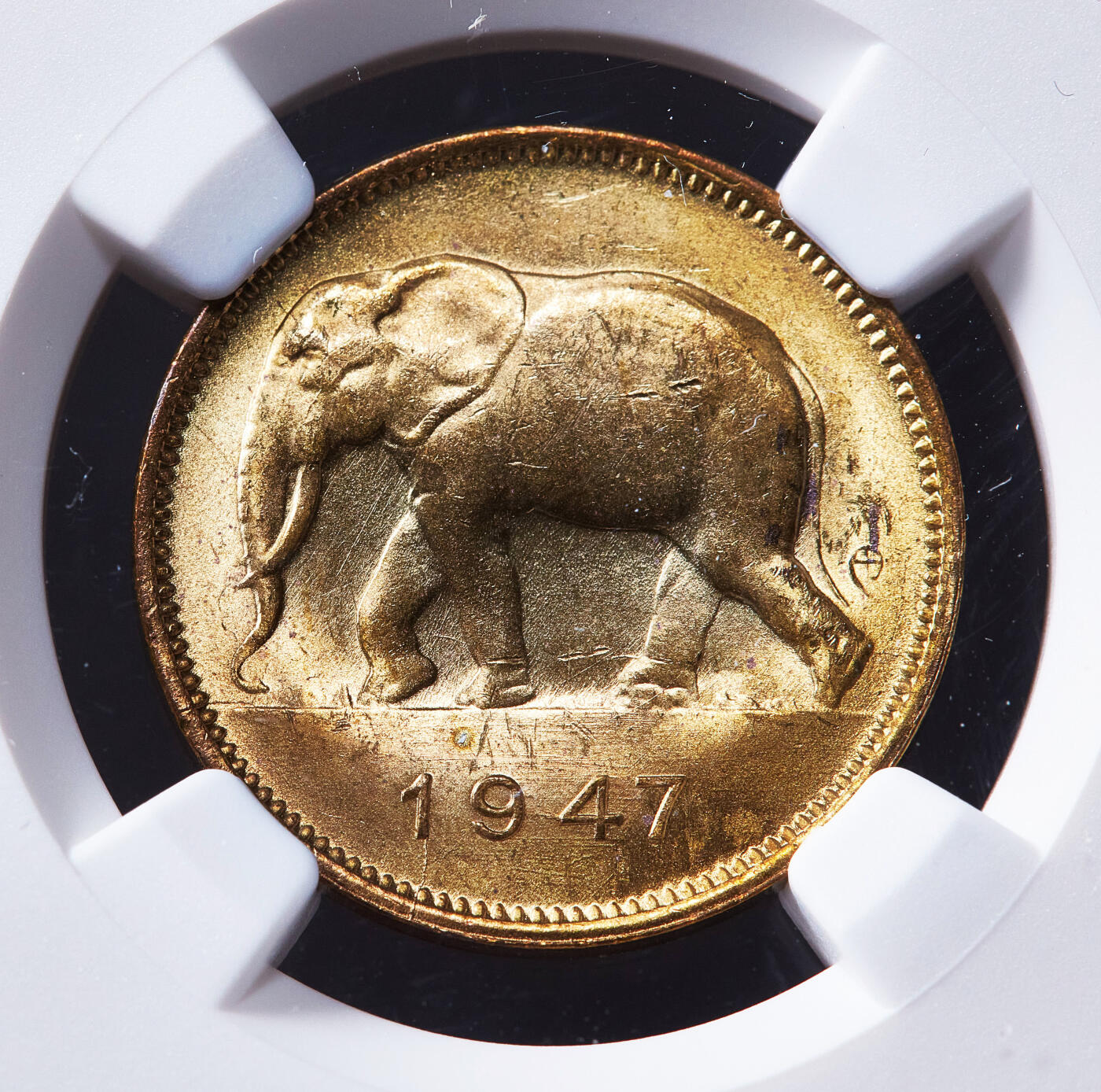 【俄甄集藏】2026年(050)04-01星期三 晚 19:30 全场包邮 比属刚果1947年大象2法郎铜币，NGC MS63，转光品相