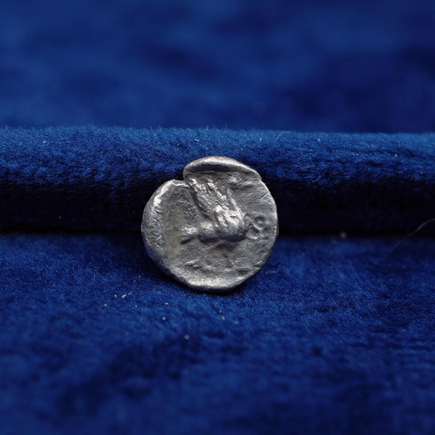 琋语集藏2026年04月欧洲古典打制币拍卖 古希腊西里西亚地区-马洛斯彩虹女神伊利斯与天鹅1奥波银币