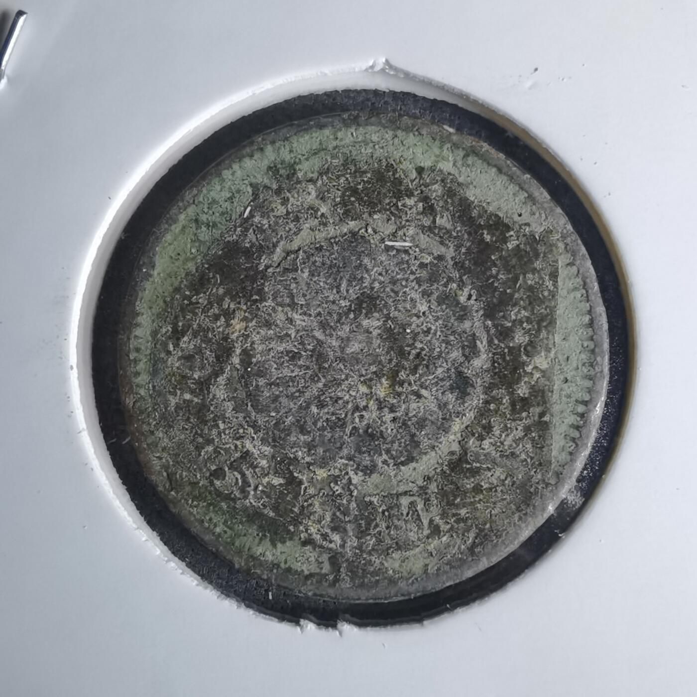 沼泽如烟--第1036场