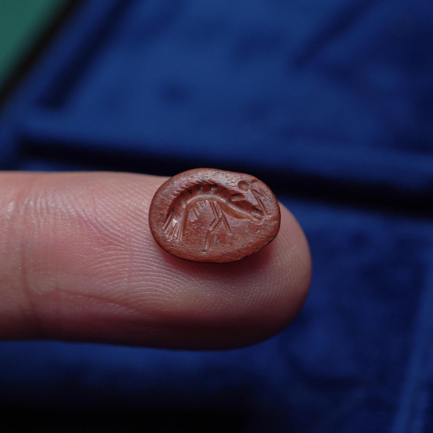 琋语集藏2026年04月欧洲古典打制币拍卖 古罗马时期鸡肝玛瑙虾印