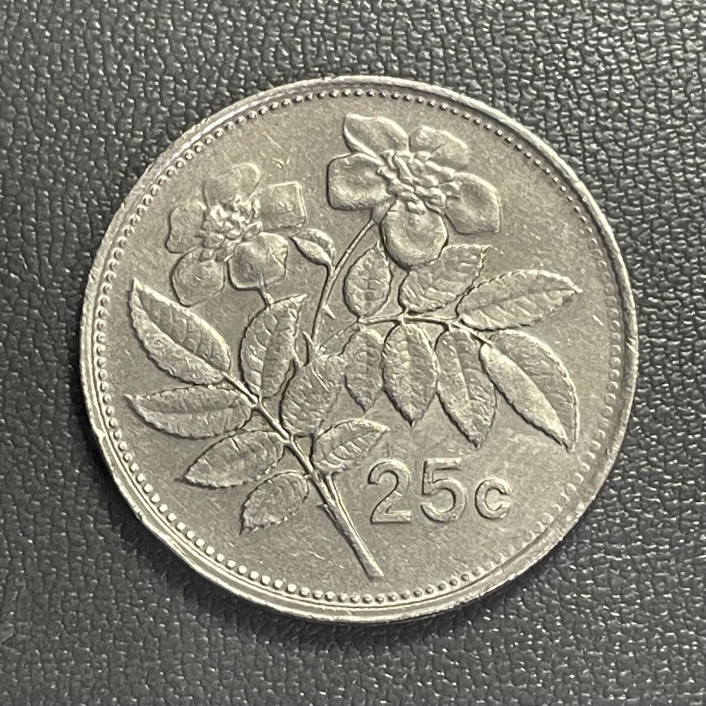 回流0406 马耳他1993年25分 常绿蔷薇