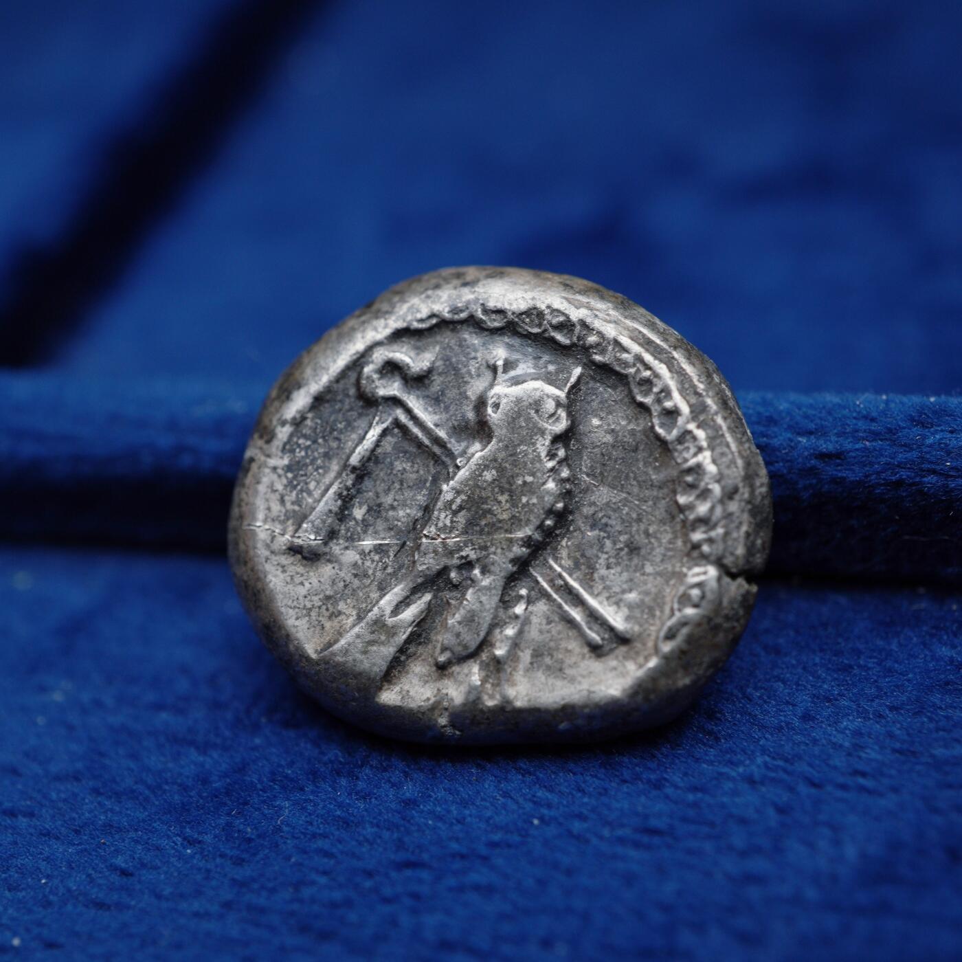 琋语集藏2026年04月欧洲古典打制币拍卖 古希腊腓尼基地区-推罗城猫头鹰与海马2德拉克马银币（重版）