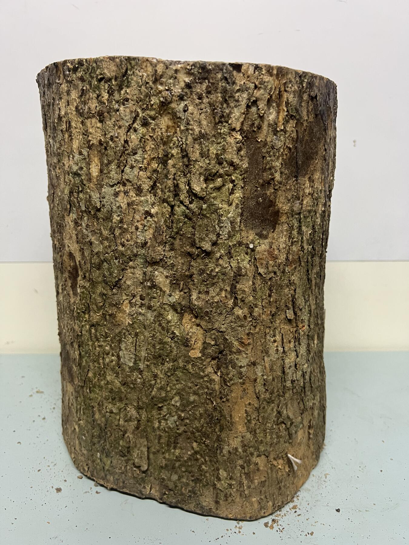 零元拍：金丝楠带水波圆墩凳子摆件，重量约11公斤。高：295/240/265MM。