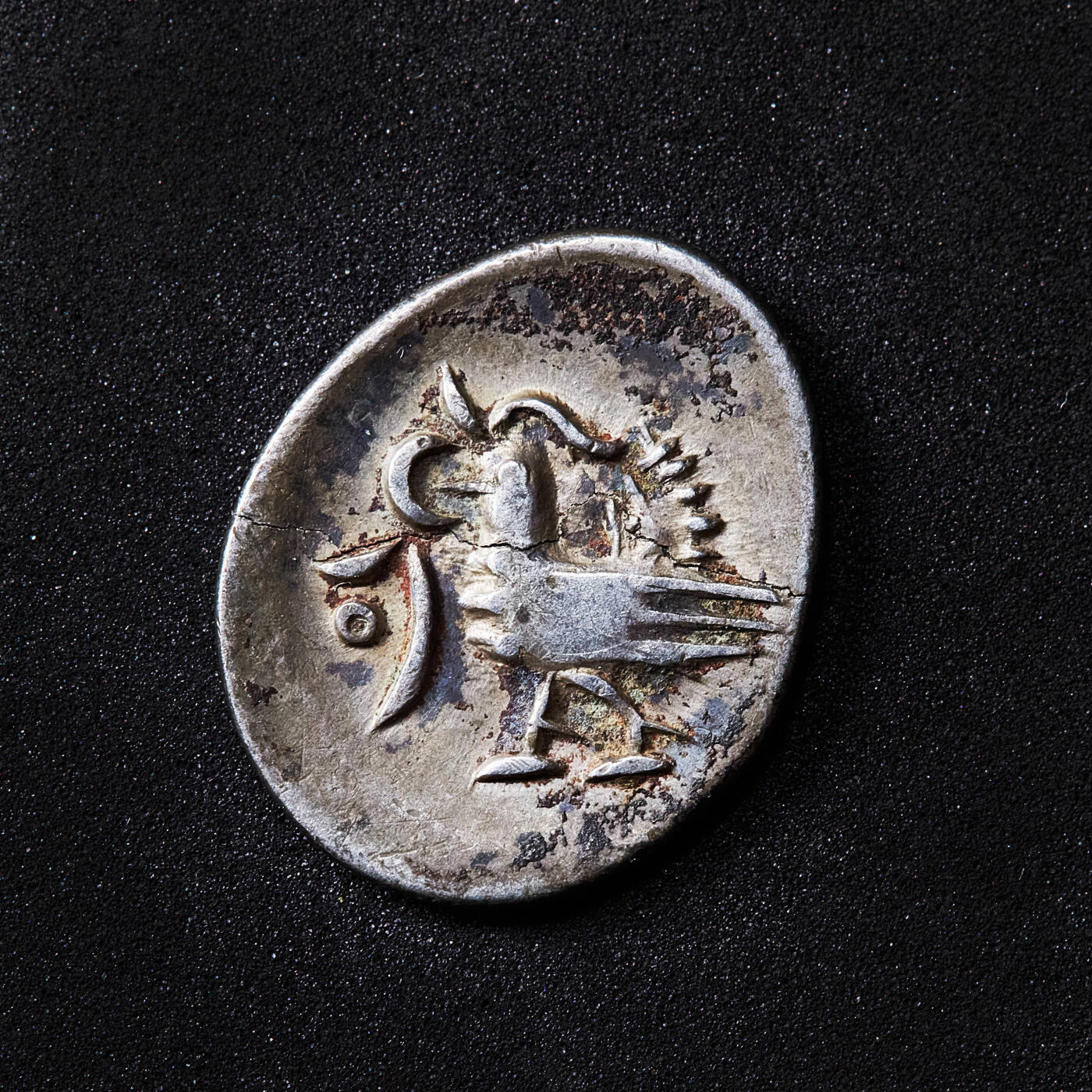 【俄甄集藏】2026年(050)04-01星期三 晚 19:30 全场包邮 柬埔寨1847-1860年红鸟1/2方(2PE)银币，黄油彩包浆，底光犹存，直径：13mm，重量：1.3克，币有模裂