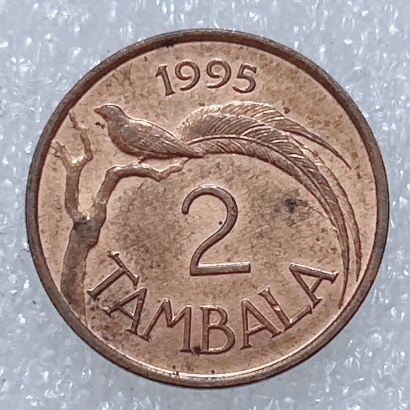 第一海外回流一元起拍收藏 散集专场  第309期 马拉维1995年2坦巴拉铜币