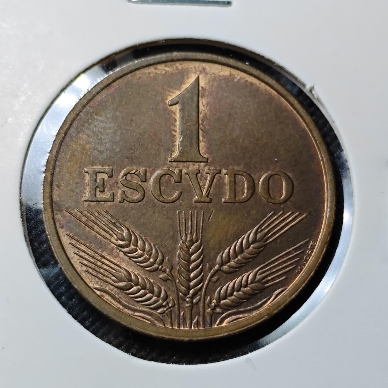 KK钱币收藏小铺  第411期 2月预留时间 周末发货