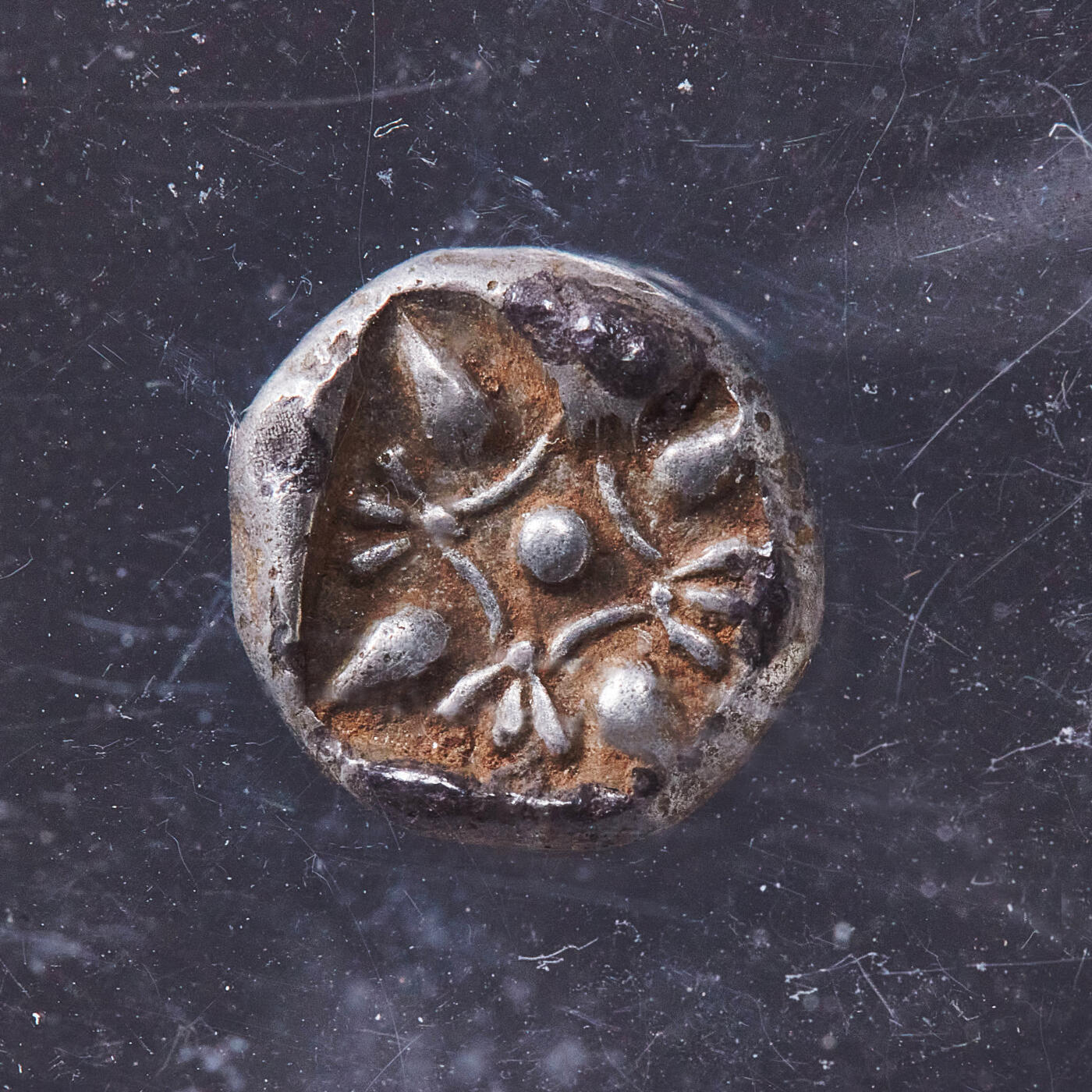 【俄甄集藏】2026年(050)04-01星期三 晚 19:30 全场包邮 古希腊爱奥尼亚米利都城邦约公元前6世纪晚期-前5世纪早期狮子头1奥波银币，NGC ChVF，正面张口咆哮的向左的狮子头，背面戳记中有大芒星图案，原味状态，经典品种