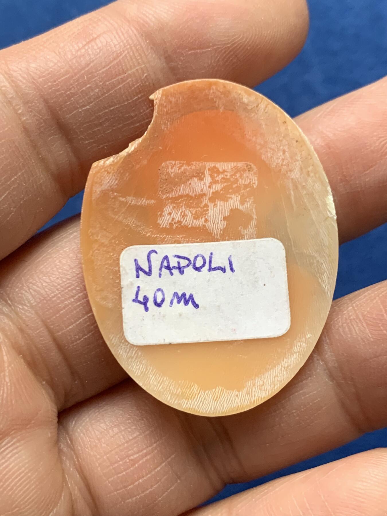 《竞宝斋》第475场 周日，周一 2场连拍 （全场包邮）欢迎送拍 意大利人物肖像卡梅奥贝雕两枚，一个产自波纳佩岛的，34.6*26mm，一个产自那不勒斯，缺一角，40.6*30mm，总重9.25克。