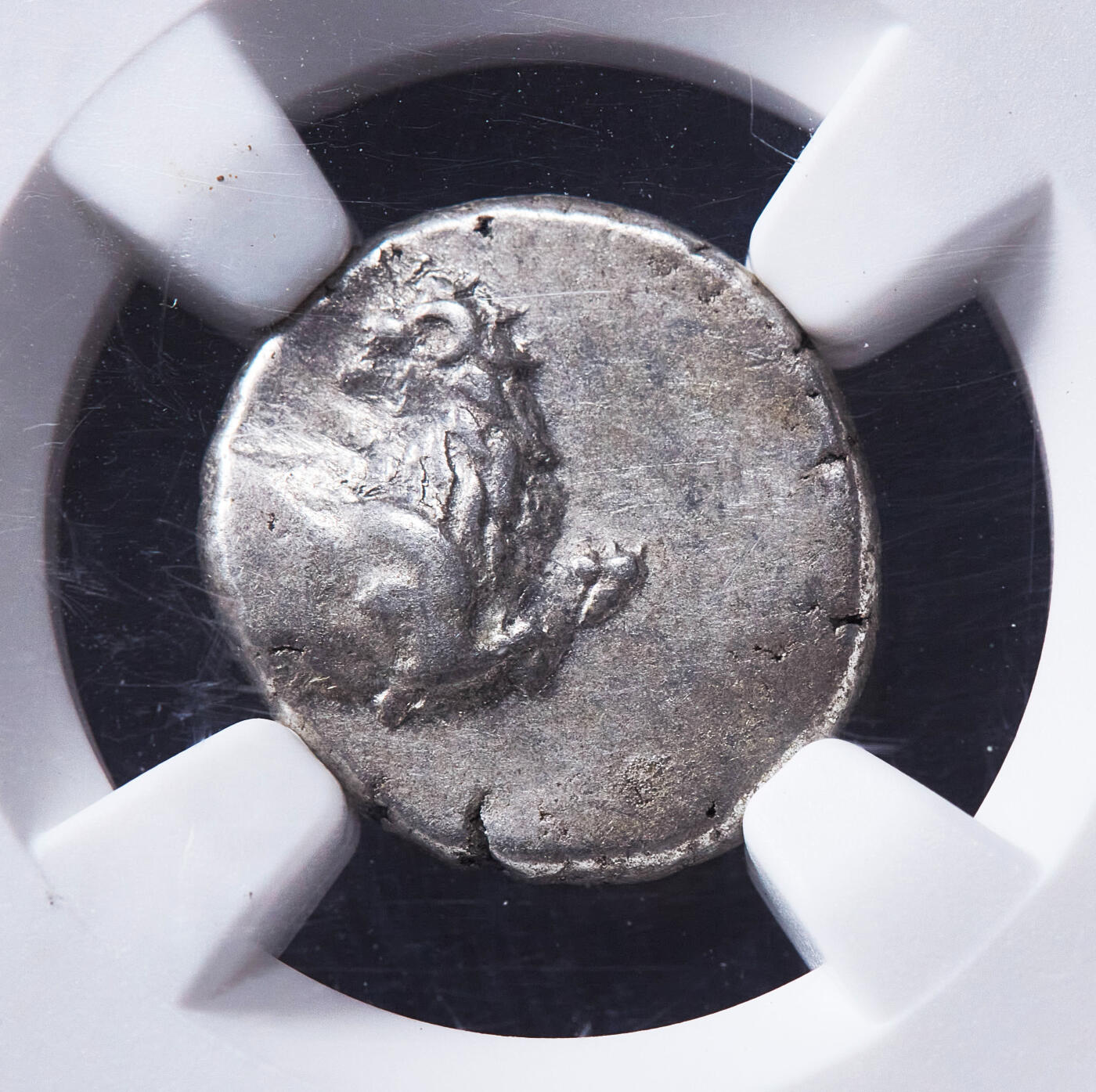 【俄甄集藏】2026年(050)04-01星期三 晚 19:30 全场包邮 古希腊色雷斯切尔松尼索斯城公元前4世纪半德拉克马回首狮子银币，NGC XF，切尔松尼索斯城发行，正面是回首狮子图案，背面为四格戳记，打制清晰，难得