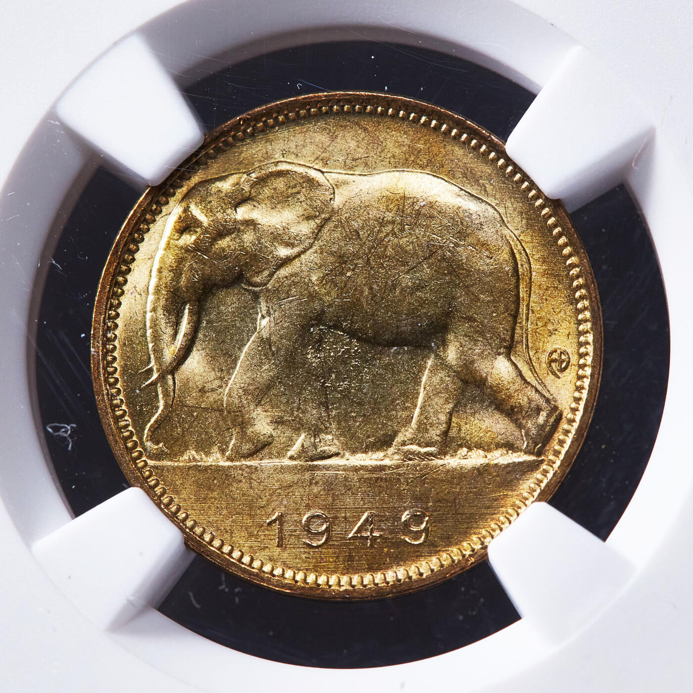 【俄甄集藏】2026年(050)04-01星期三 晚 19:30 全场包邮 比属刚果1949年大象1法郎铜币，NGC MS63，转光品相