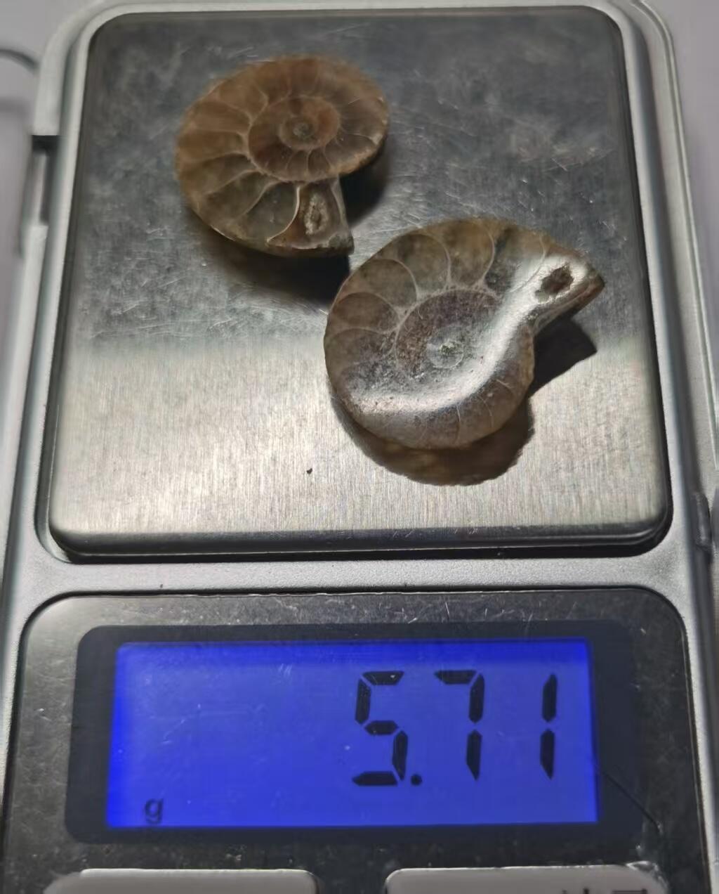 七河·水晶矿标化石杂件小拍（总第43期）（周四结标） 藏家出品X799（4）马达加斯加中生代菊石化石对开品