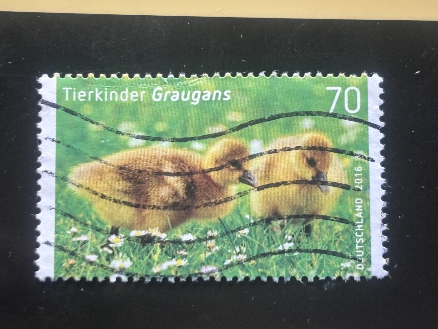 邮泉阁邮票限时拍卖第一拍 德国邮票1（邮票在国外） 6