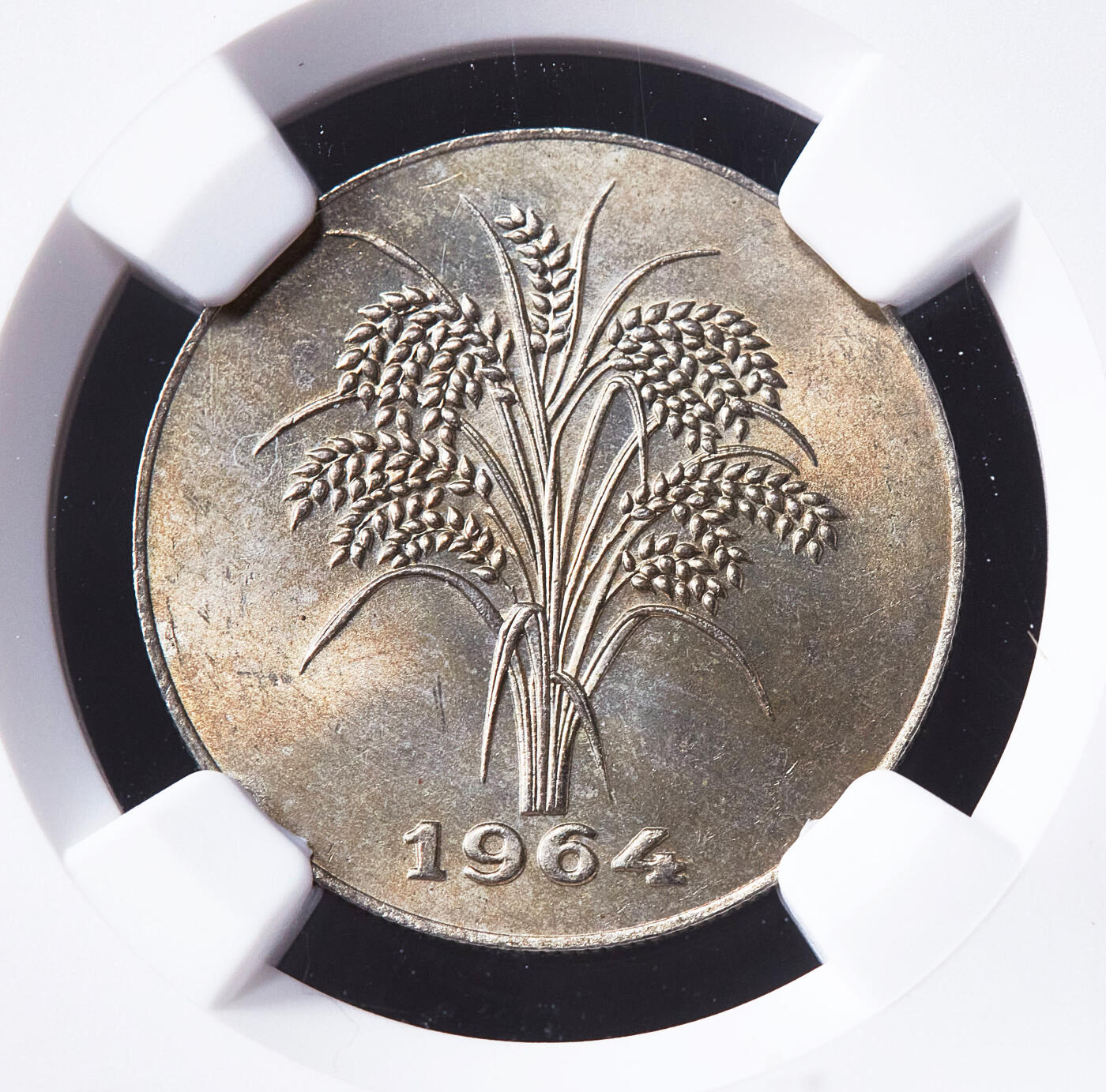 【俄甄集藏】2026年(050)04-01星期三 晚 19:30 全场包邮 越南1964年麦穗1盾镍币，NGC MS65，黄油彩，转光品相，亚军