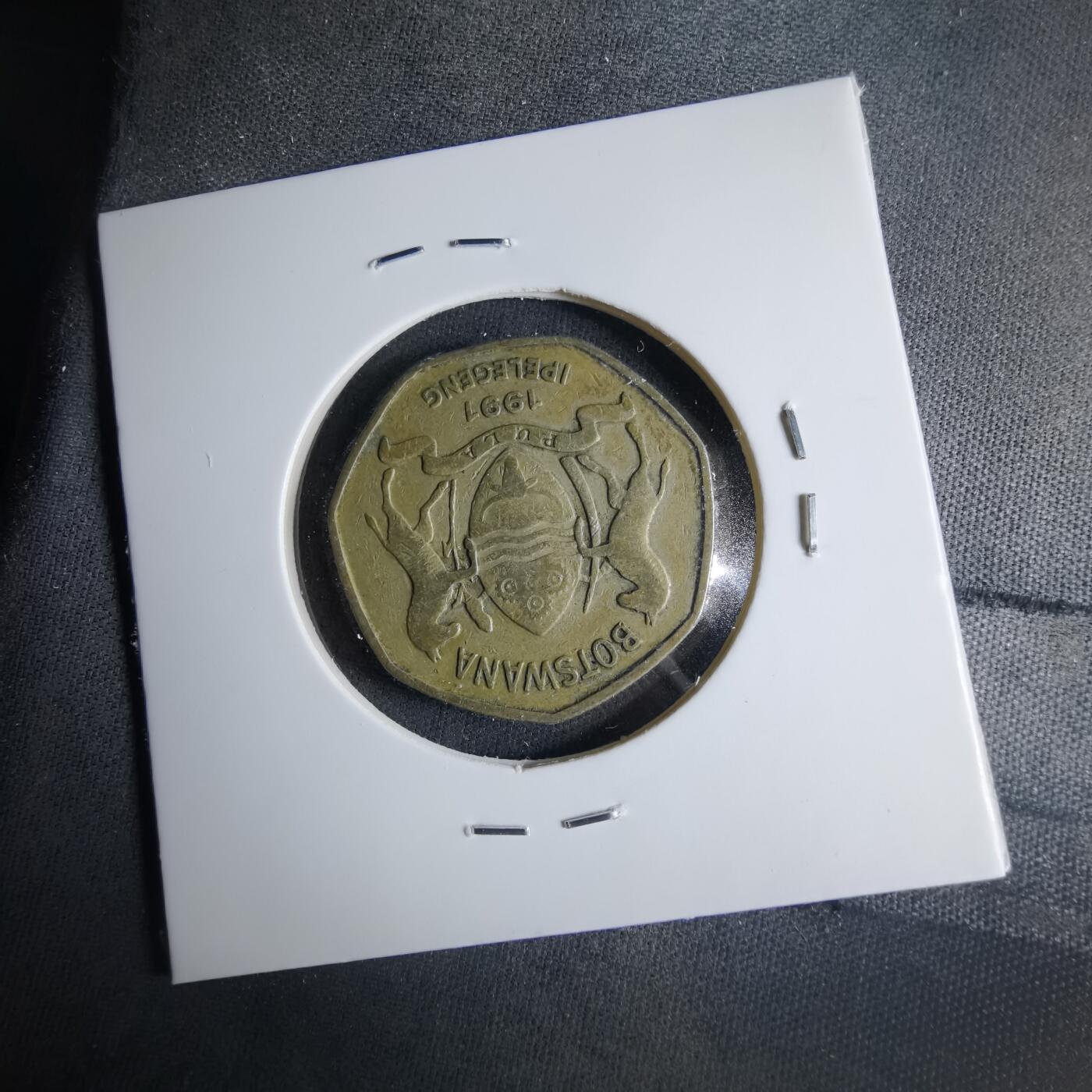 沼泽如烟--第1039场