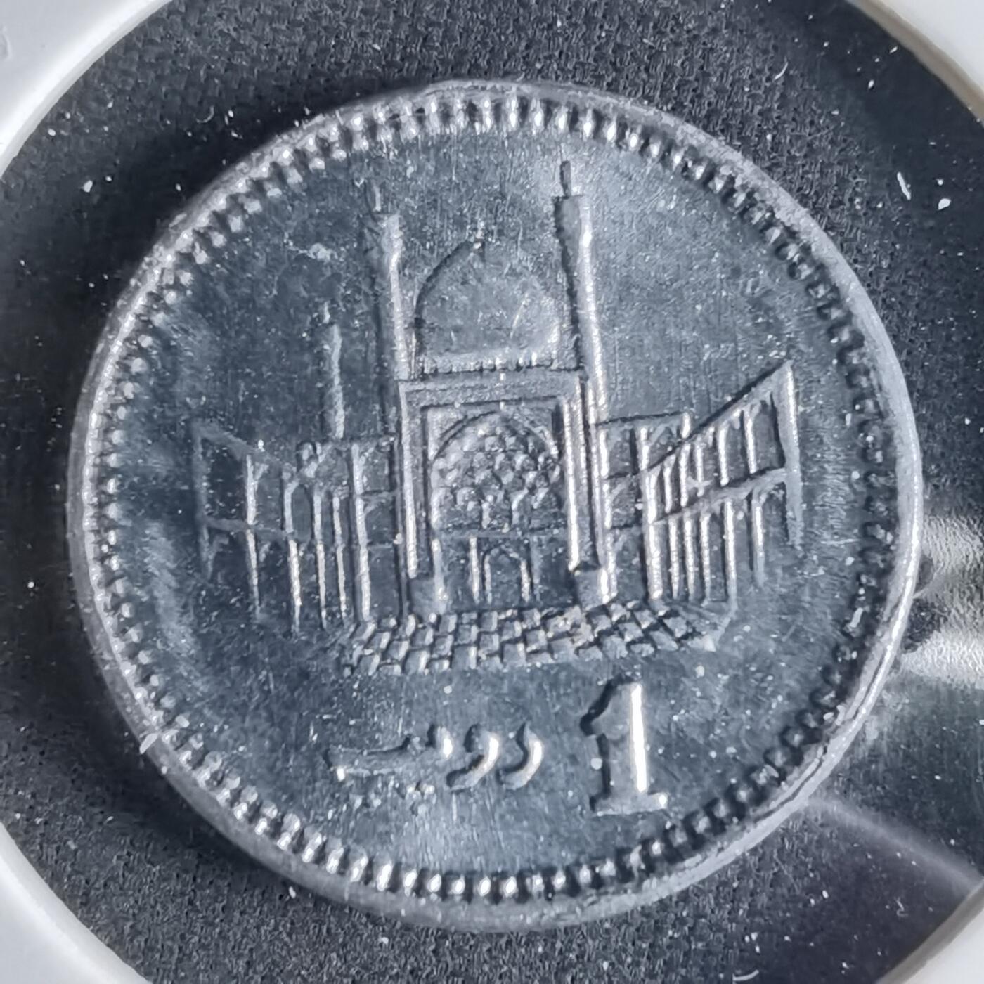 沼泽如烟--第1039场