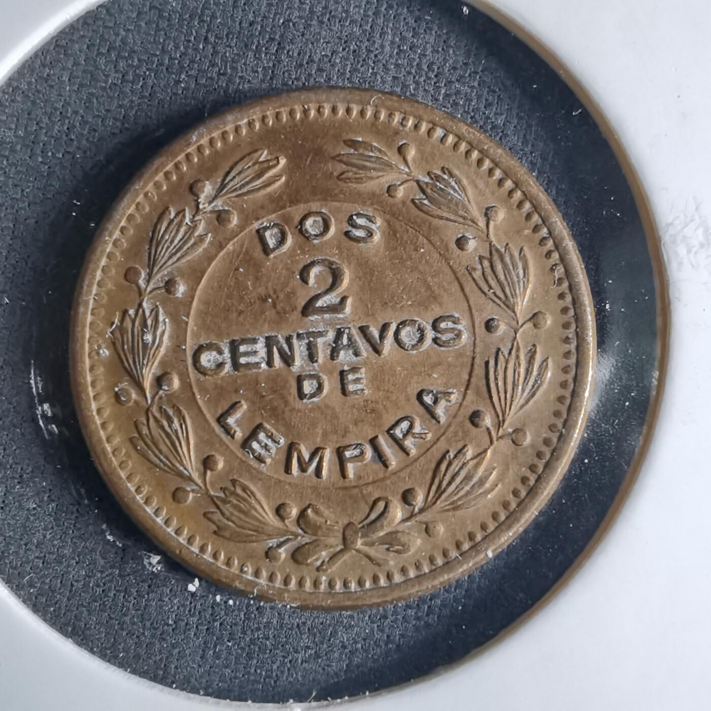 沼泽如烟--第1039场