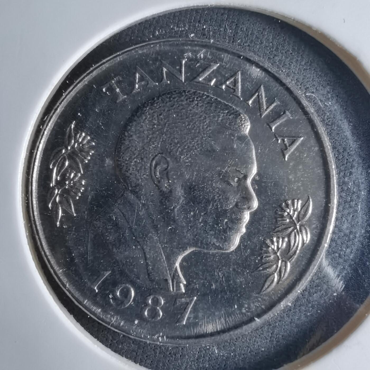 沼泽如烟--第1039场