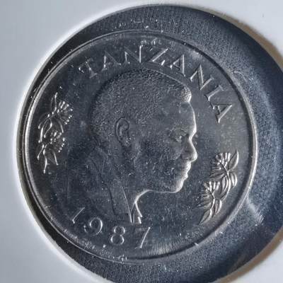 沼泽如烟--第1039场 - 坦桑尼亚1987年1先令