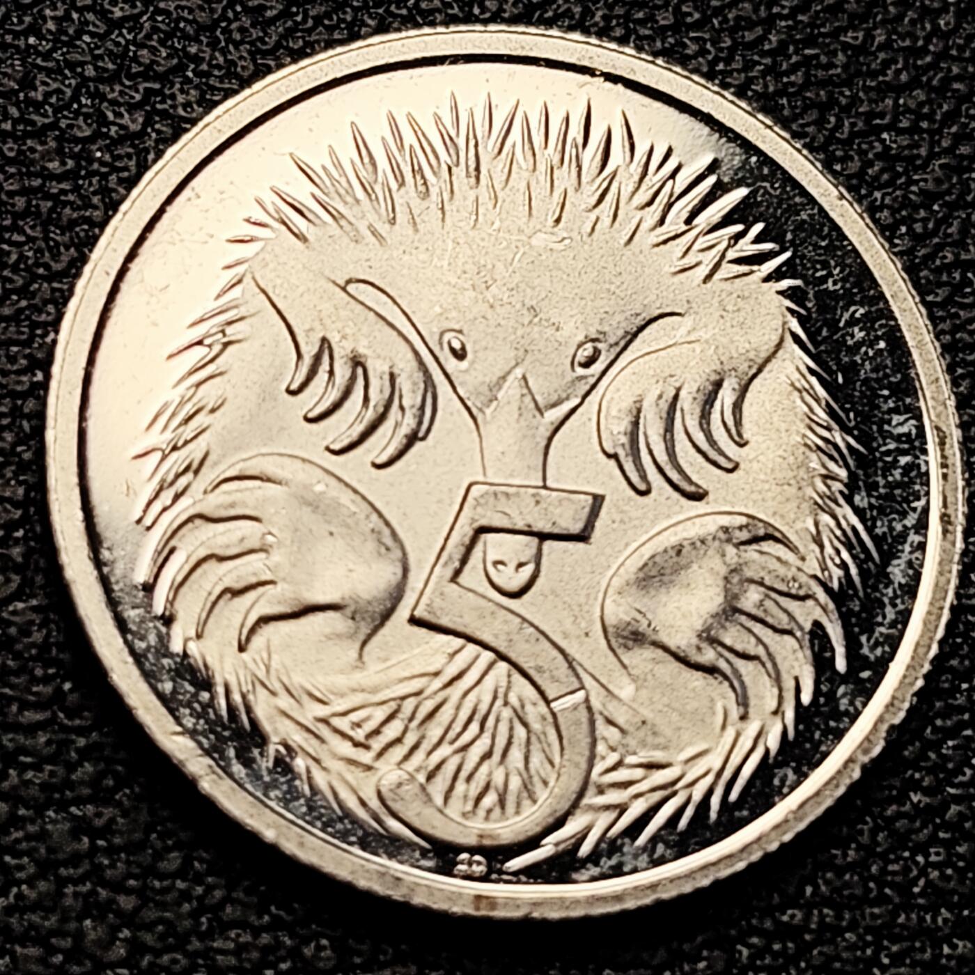 泉币菌-第218场-拍品多 请提前出价 精制币 针鼹 澳大利亚5分镍币 伊丽莎白二世 19.4MM 