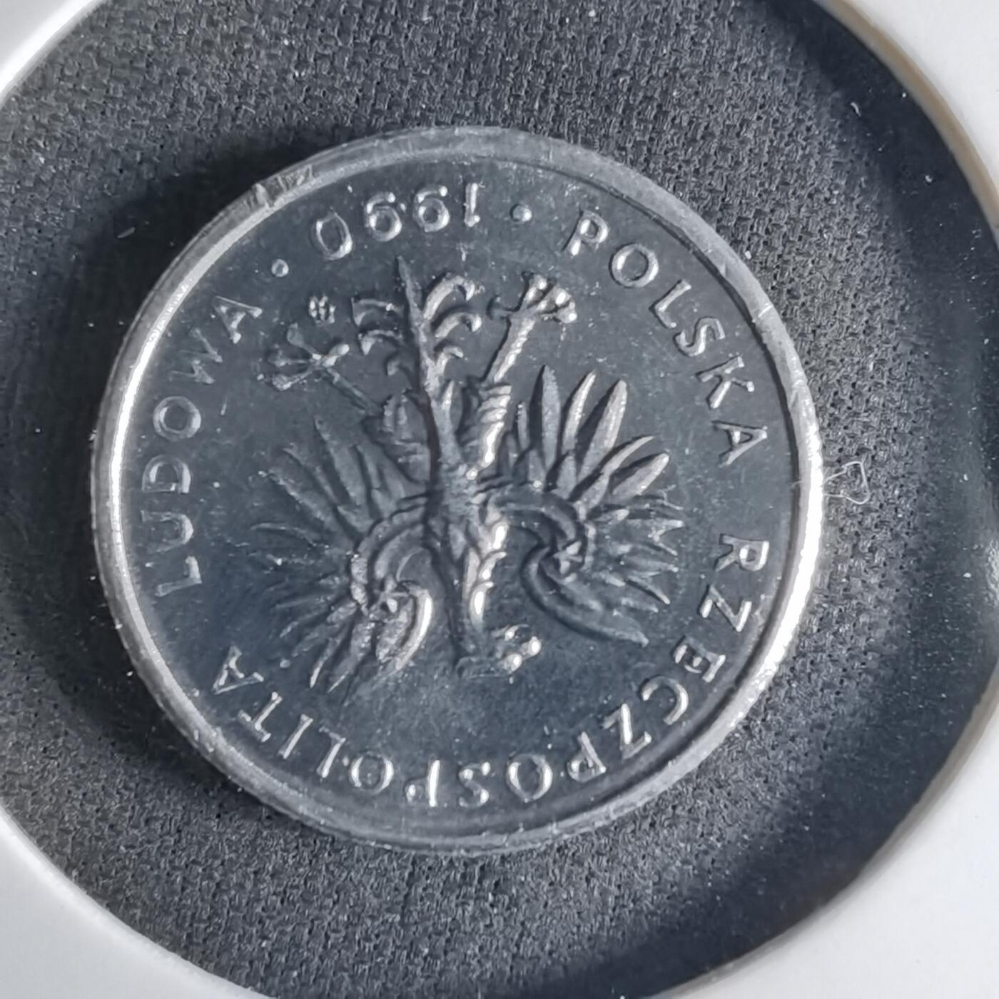 沼泽如烟--第1039场