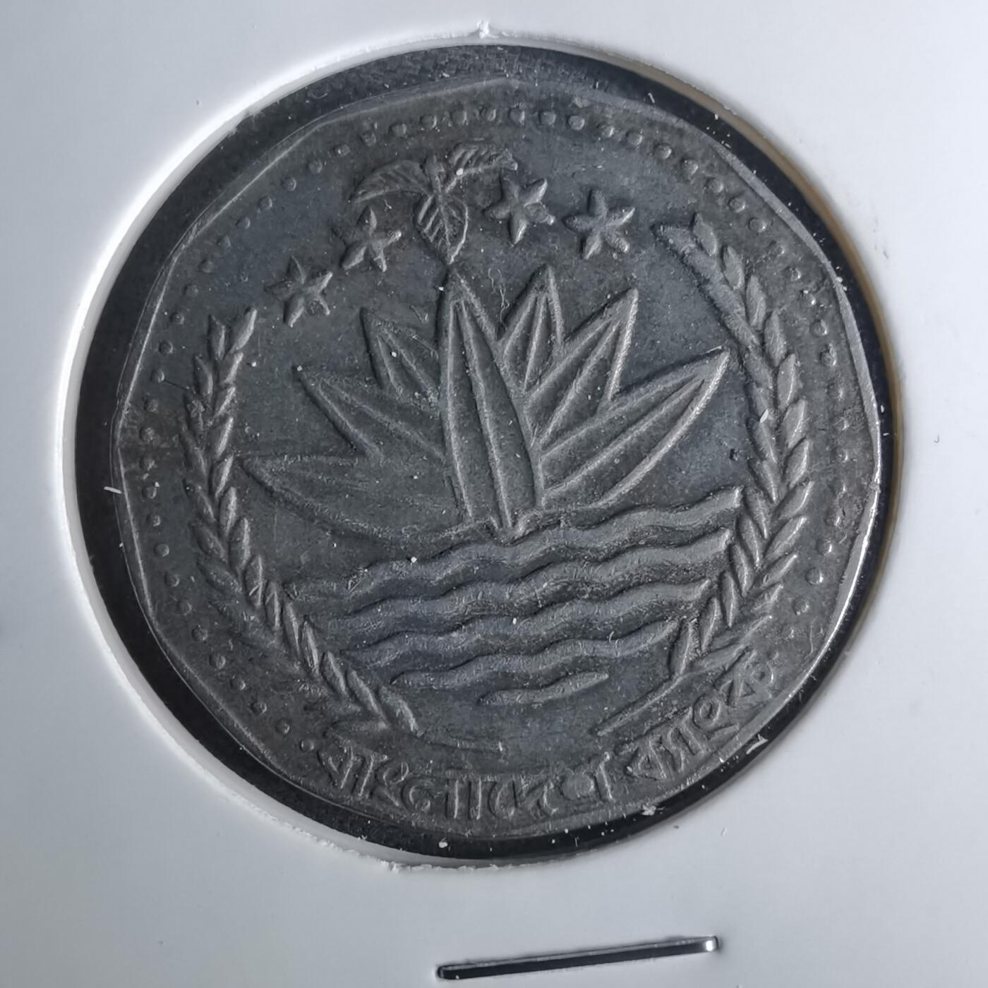 沼泽如烟--第1039场