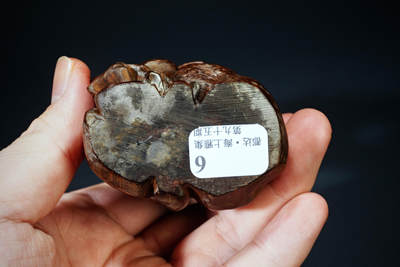 上海都达杂项专场103【全场包邮】  清代老黄杨木精雕《硕果累累》摆件95-6