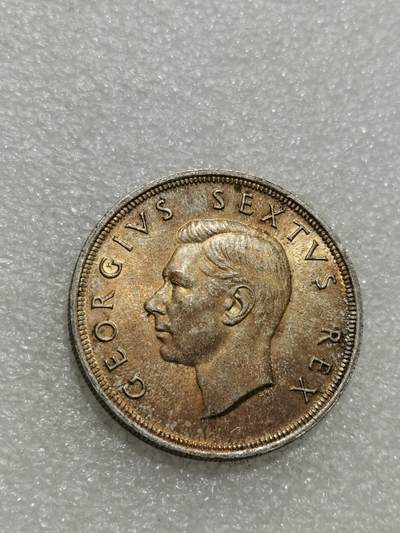 天下钱庄专场欢迎参拍 - 英属南非银币