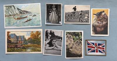 盛世勋华——号角文化勋章邮票专场拍卖第312期 - 德国1950年代生活科普与休闲主题收藏卡一组