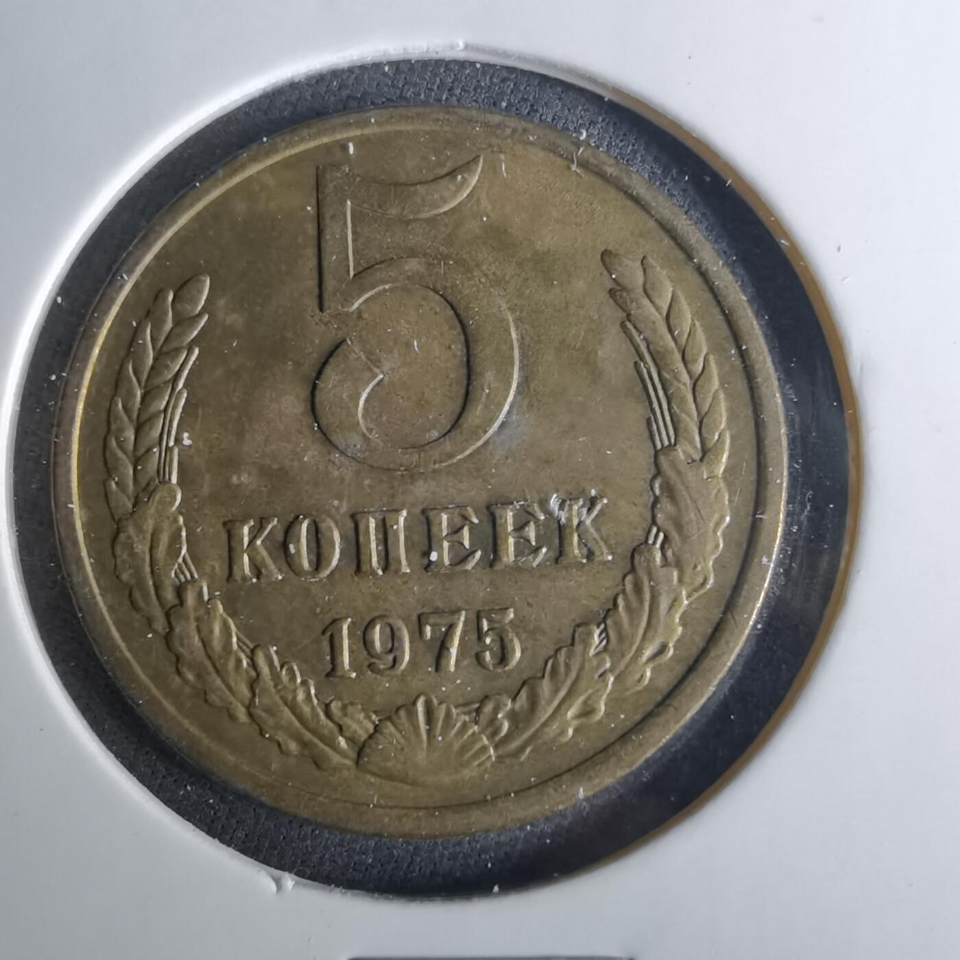 沼泽如烟--第1039场