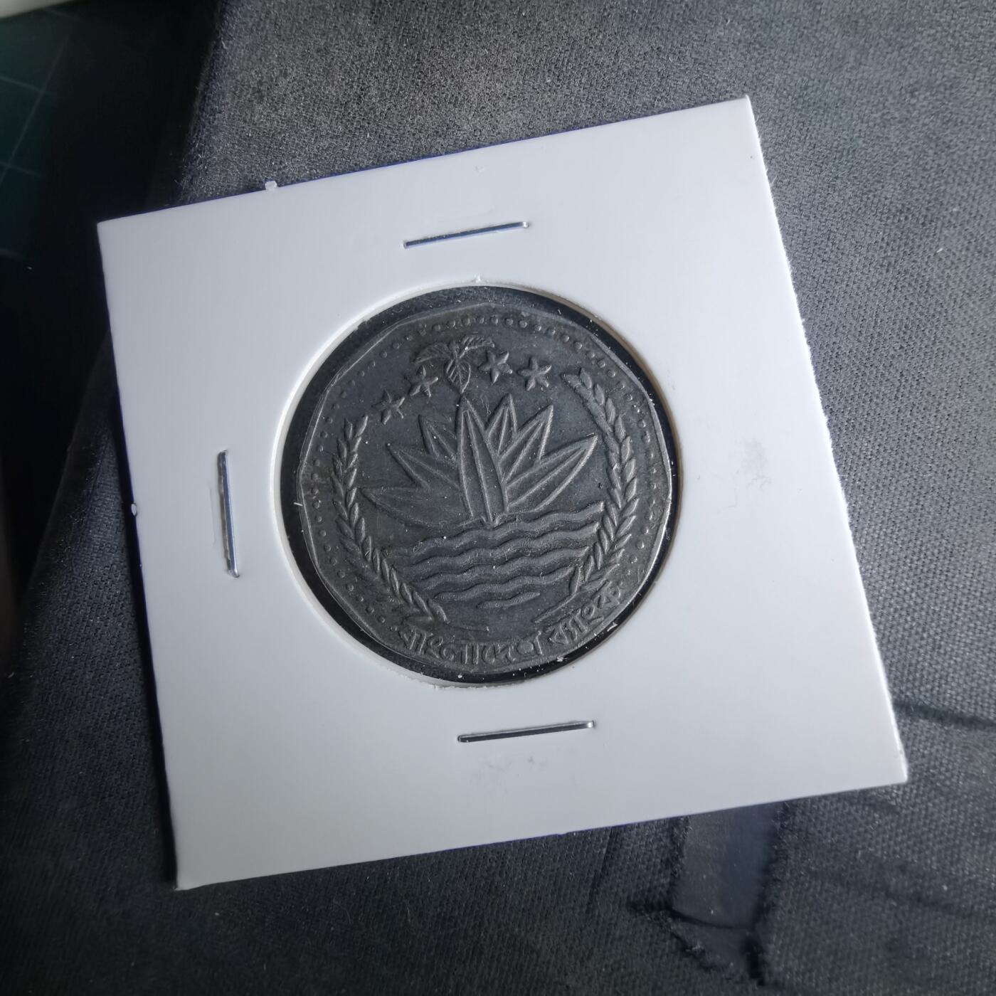 沼泽如烟--第1039场