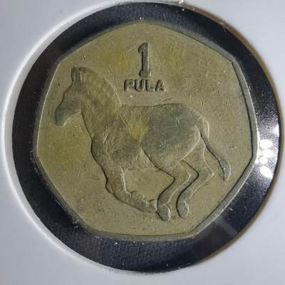 沼泽如烟--第1039场 - 博茨瓦纳1991年1普拉