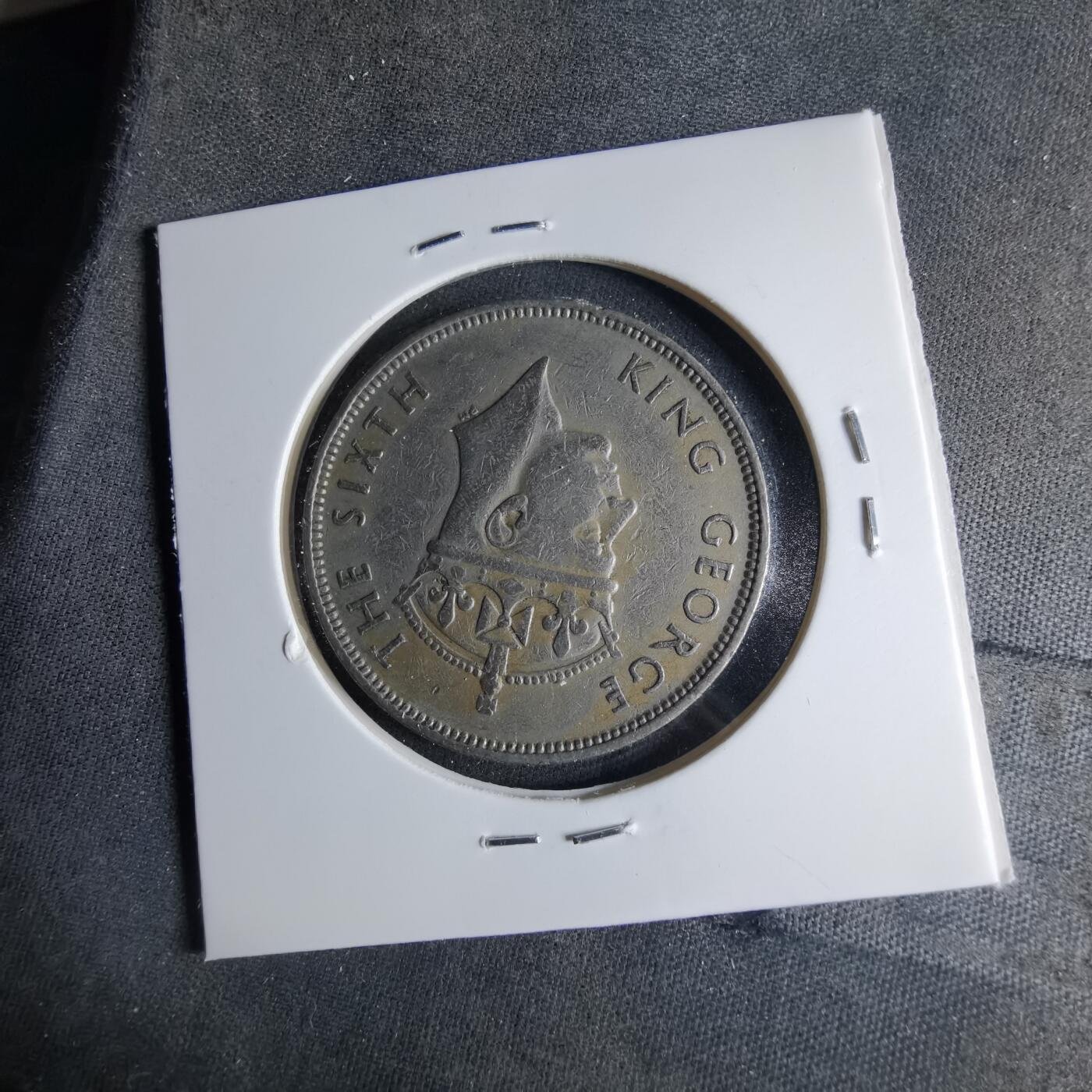 沼泽如烟--第1039场