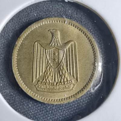 沼泽如烟--第1040场 - 埃及