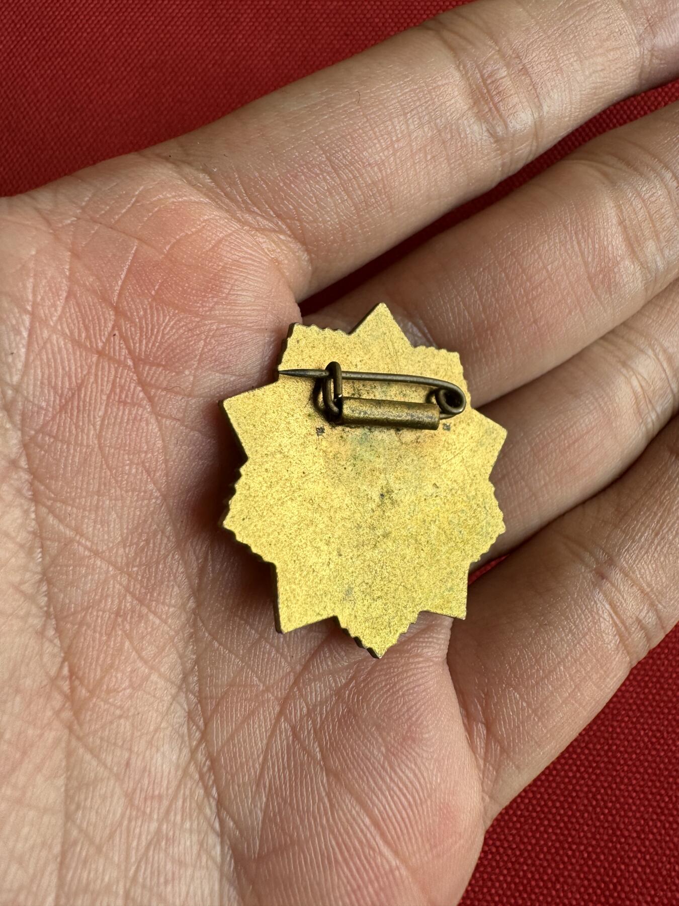 五哥徽章群   31号周二晚上八点4群联拍 铜章